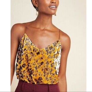 Sequined bronze top
